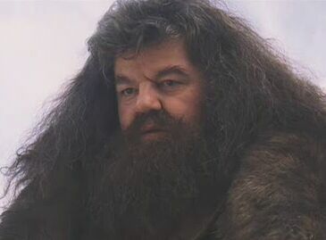 Hagrid